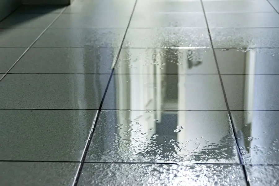 Plumbing Services in Anthem